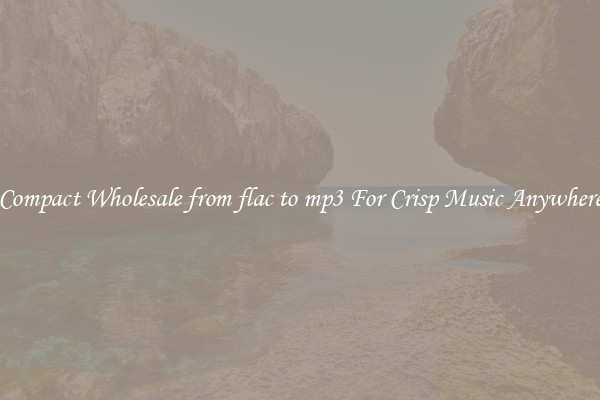 Compact Wholesale from flac to mp3 For Crisp Music Anywhere