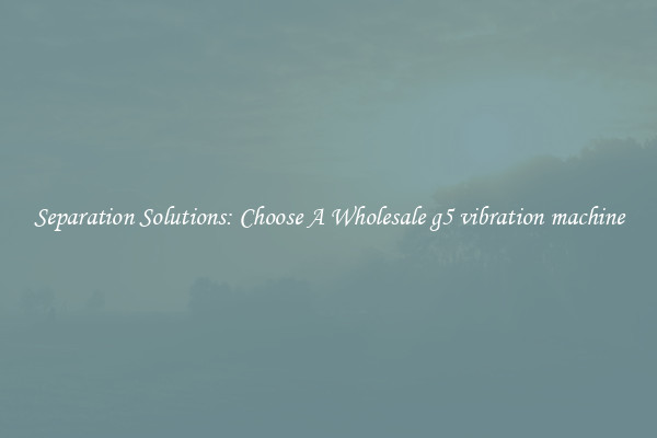 Separation Solutions: Choose A Wholesale g5 vibration machine