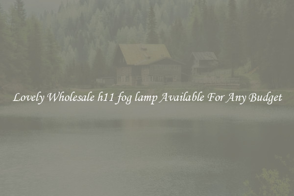 Lovely Wholesale h11 fog lamp Available For Any Budget