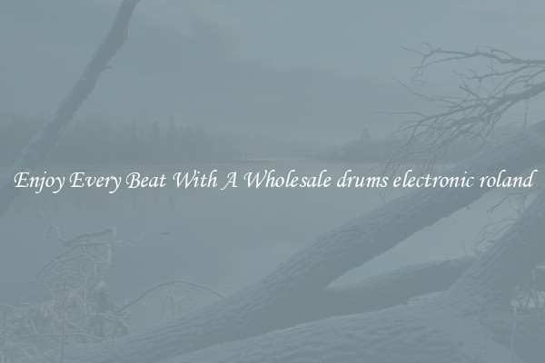 Enjoy Every Beat With A Wholesale drums electronic roland