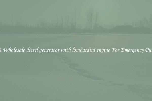 Get A Wholesale diesel generator with lombardini engine For Emergency Purposes