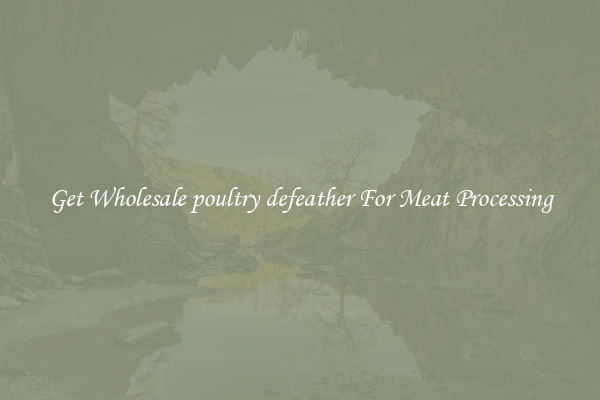 Get Wholesale poultry defeather For Meat Processing