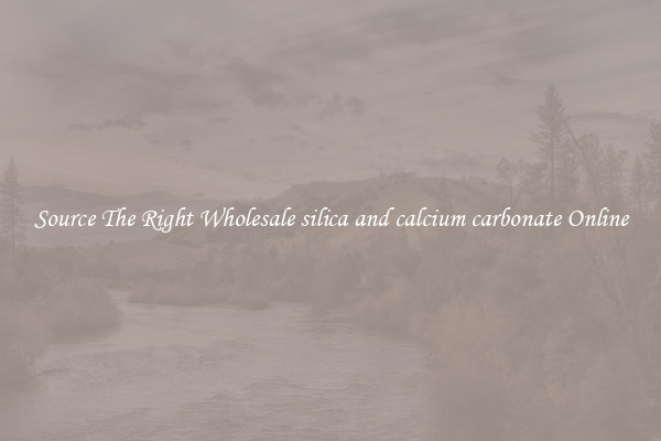 Source The Right Wholesale silica and calcium carbonate Online