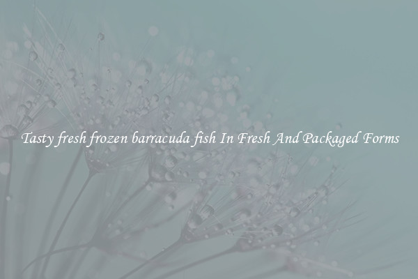 Tasty fresh frozen barracuda fish In Fresh And Packaged Forms