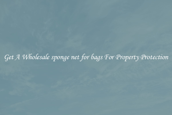 Get A Wholesale sponge net for bags For Property Protection