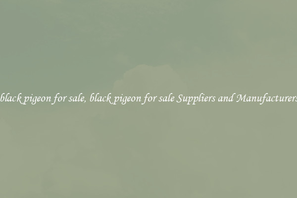 black pigeon for sale, black pigeon for sale Suppliers and Manufacturers