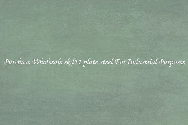 Purchase Wholesale skd11 plate steel For Industrial Purposes