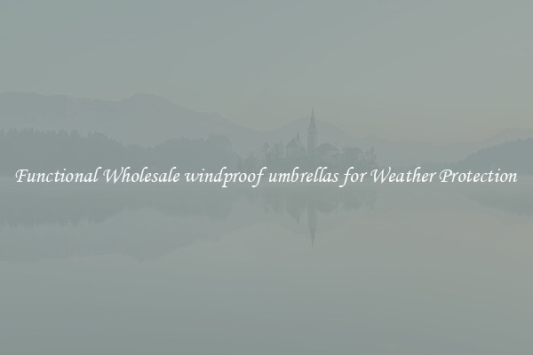 Functional Wholesale windproof umbrellas for Weather Protection 