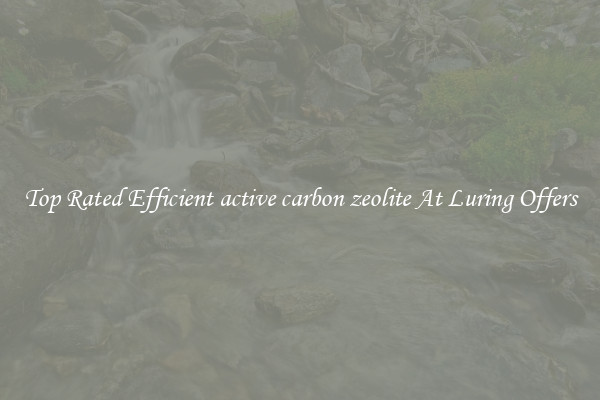 Top Rated Efficient active carbon zeolite At Luring Offers