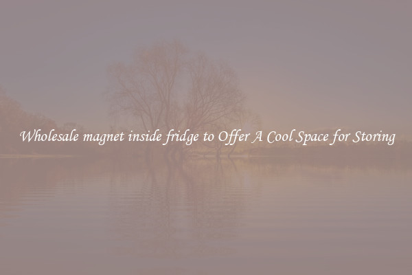 Wholesale magnet inside fridge to Offer A Cool Space for Storing