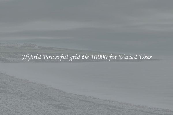 Hybrid Powerful grid tie 10000 for Varied Uses