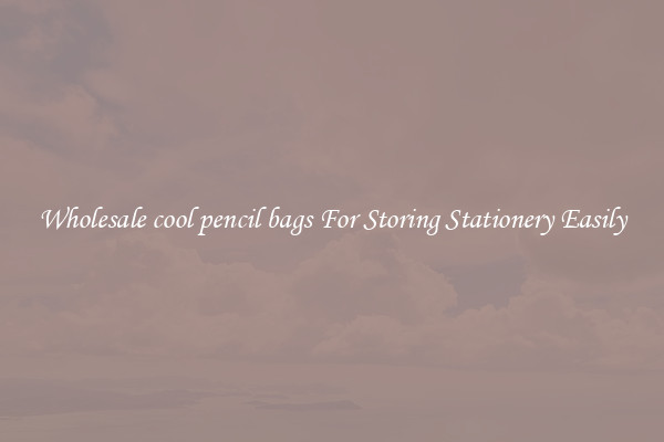 Wholesale cool pencil bags For Storing Stationery Easily