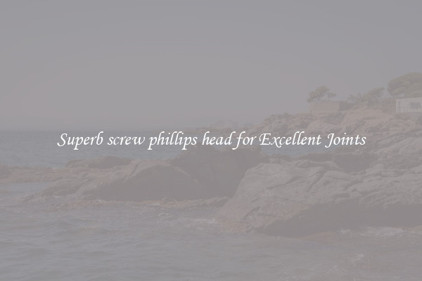 Superb screw phillips head for Excellent Joints
