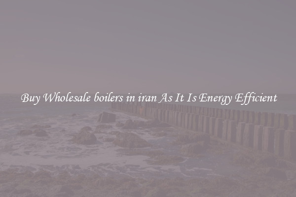 Buy Wholesale boilers in iran As It Is Energy Efficient
