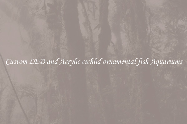 Custom LED and Acrylic cichlid ornamental fish Aquariums