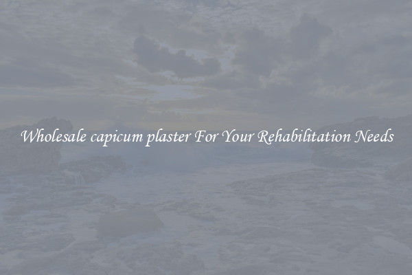 Wholesale capicum plaster For Your Rehabilitation Needs
